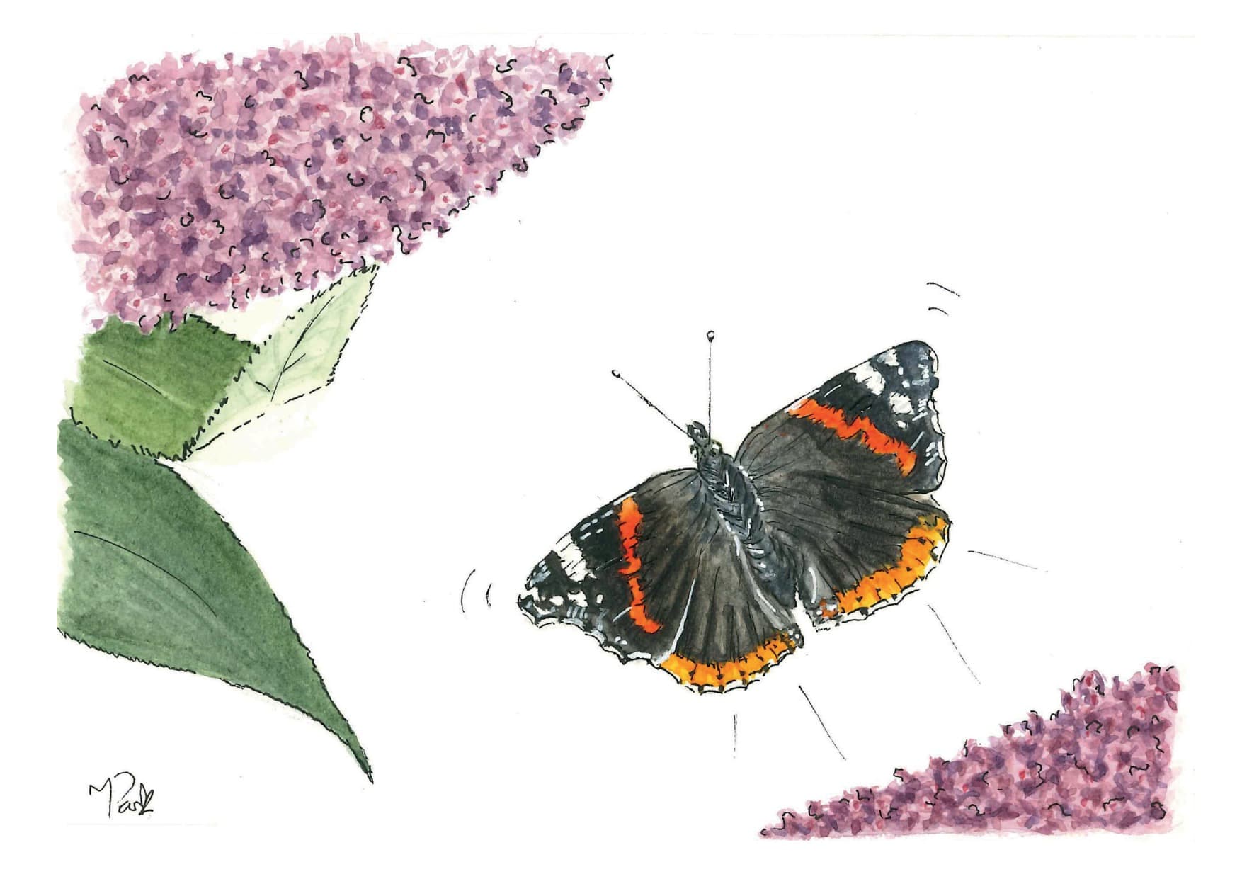 Red Admiral Butterfly — watercolour greeting card by Meriel