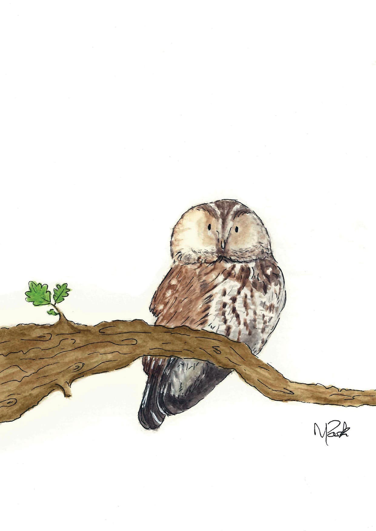 Tawny Owl — watercolour card