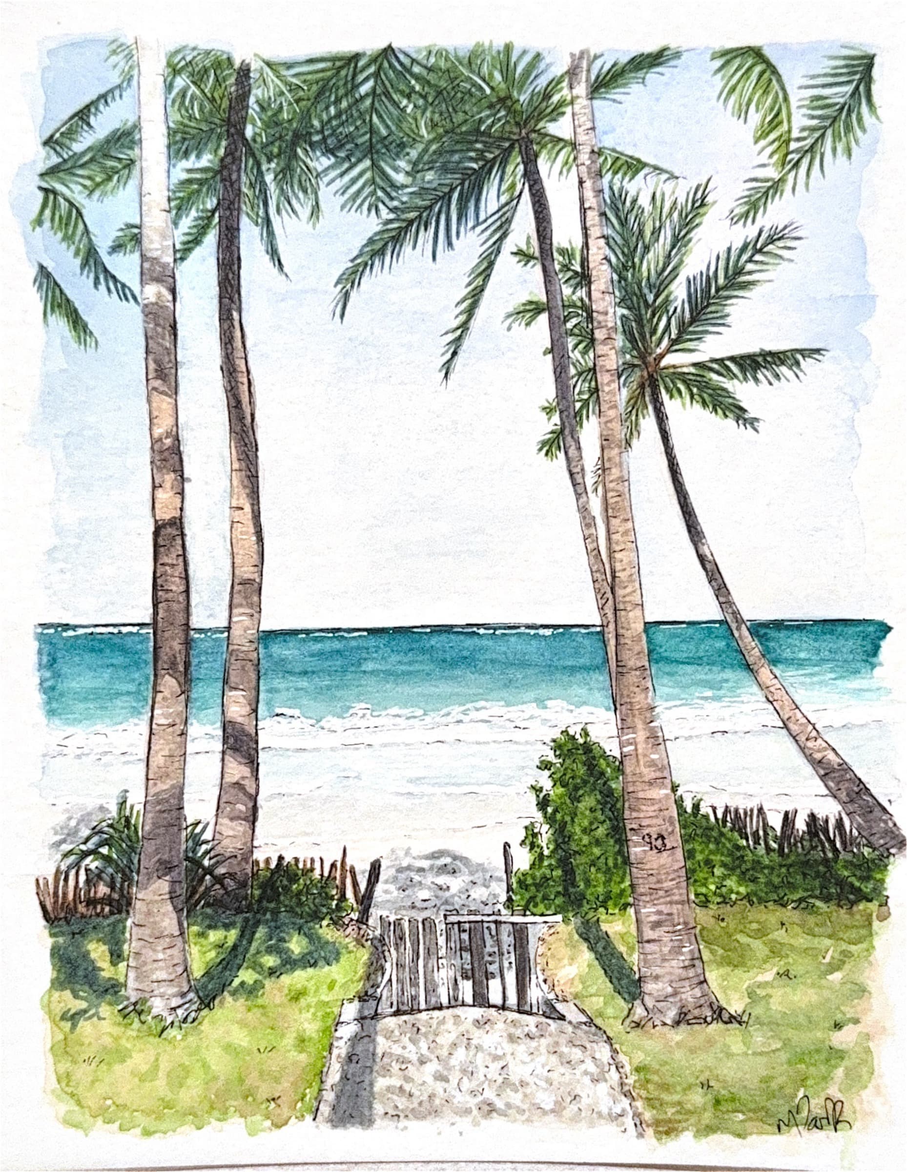 Diani