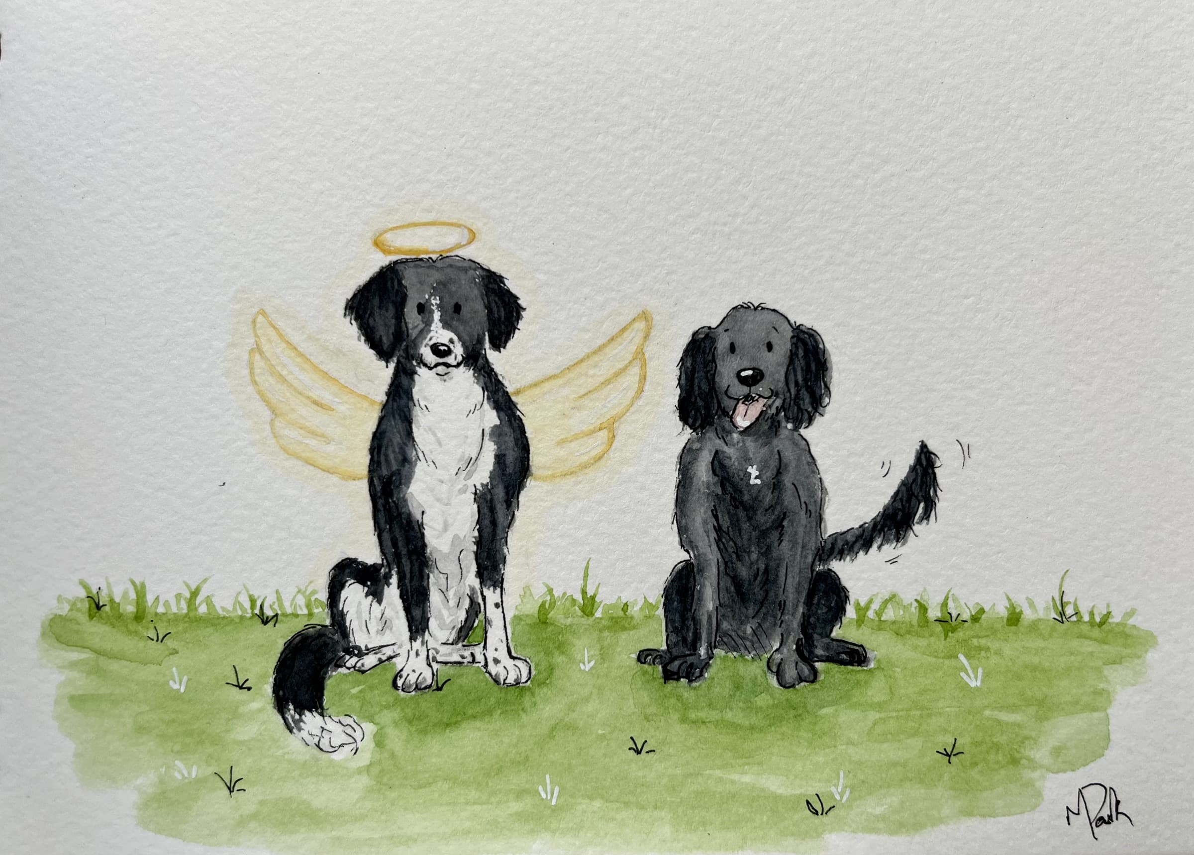 Dog Commission