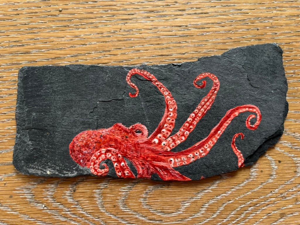 Octopus on Slate