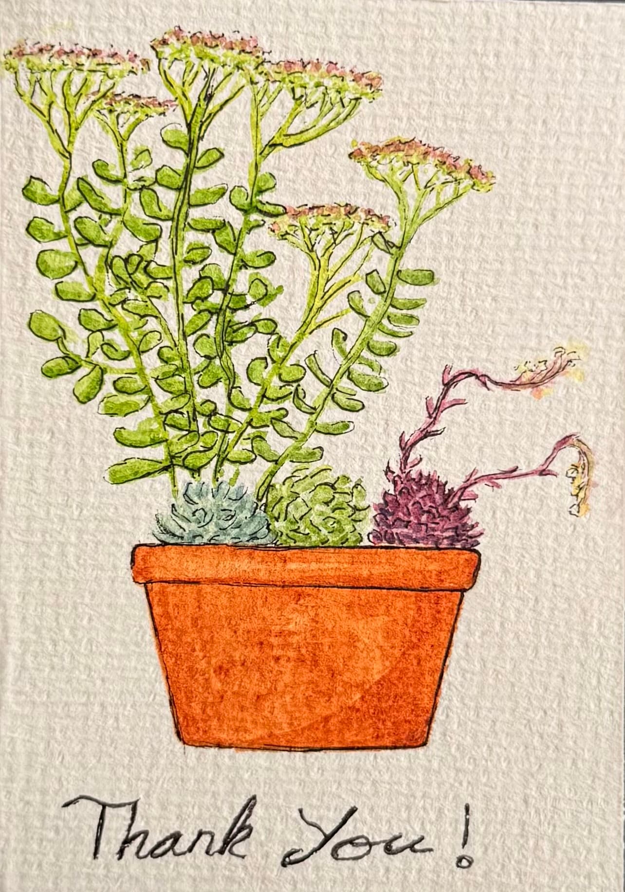 Succulent Planter