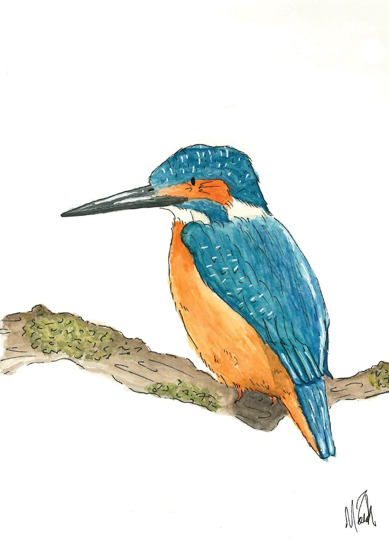 Kingfisher — watercolour greeting card by Meriel