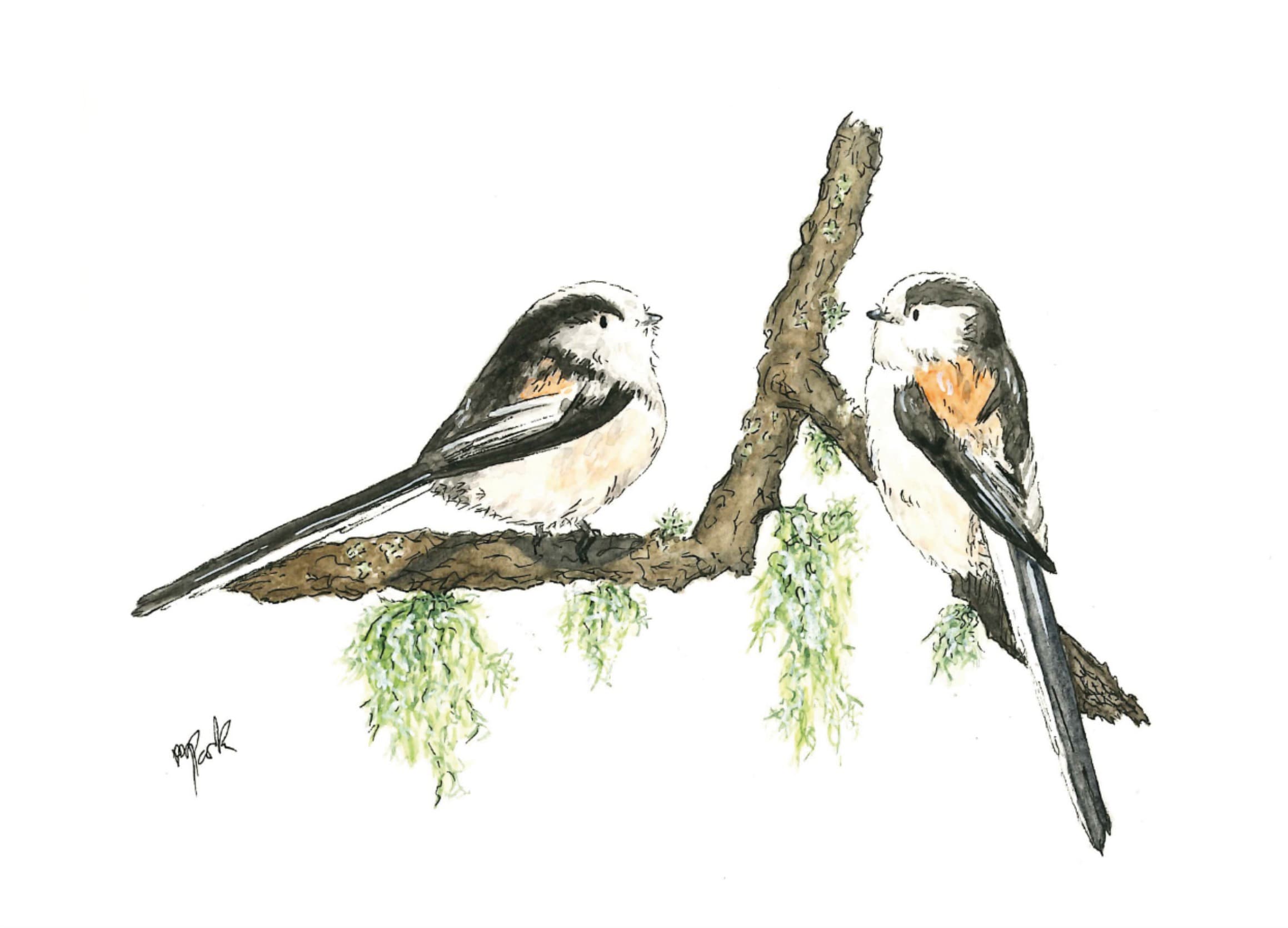 A watercolour by Meriel